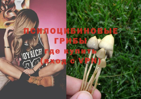 ECSTASY Няндома