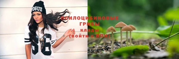 прущая мука Новодвинск