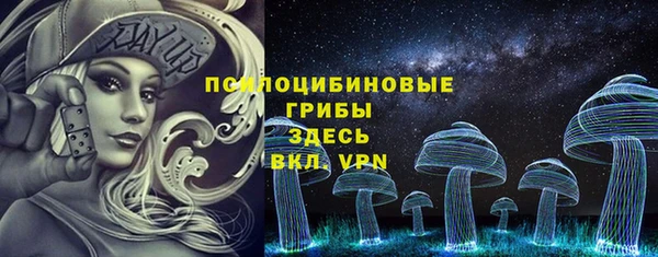 молекула духа Нязепетровск